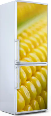 Produktbild von Magnete Dekorative - 70 cm x 190 cm - Küche - Magnetmatte Kühlschrankmagnete - Gemüse Maiskolben