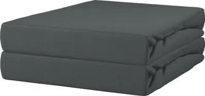 Produktbild von Erwin Müller Spannbettlaken Nürnberg" 2er-Pack anthrazit 90x190 cm - 100x200 cm"