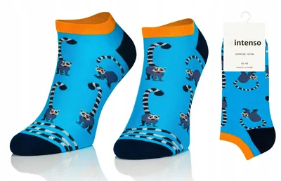 Image de Intenso 1849 Chaussettes Basses Motif Lémurien Colorées