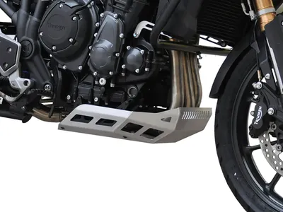 Immagine prodotto di Protezione motore ZIEGER compatibile con Triumph Tiger Explorer 1200 argento