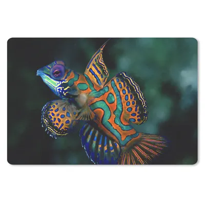 Produktbild von MuchoWow® Schreibtischunterlage Fisch - Meer - Orange 60x40 cm - XXL Mauspad - Großes Mauspad