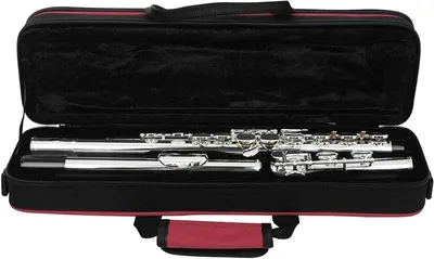 Immagine prodotto di Flauto traverso - Strumento musicale - Per suonare musica - 16 fori chiusi - 46 x 15 x 10 cm - Rosso