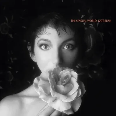 Immagine prodotto di Kate Bush: Il mondo sensuale