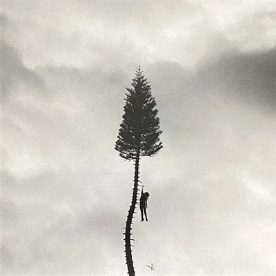 Produktbild von Manchester Orchestra - Black Mile To The Surface (2 LP)
