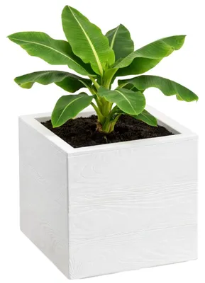 Image de HowHomely | Pot de fleurs - bac à fleurs - crème - 30 x 30 x 30 cm - pot de fleurs sur roulettes - aspect bois - décoratif