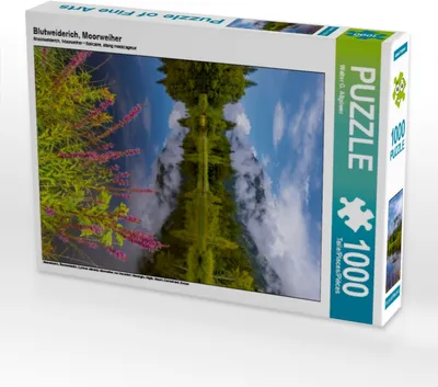 Produktbild von CALVENDO Puzzle Blutweiderich, Moorweiher | 1000 Teile Lege-Größe 64x48cm Foto-Puzzle für glückliche Stunden