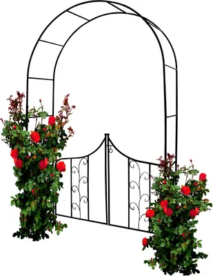 Produktbild von Garden Pergola Rundbogen Für Rosen Blumentor