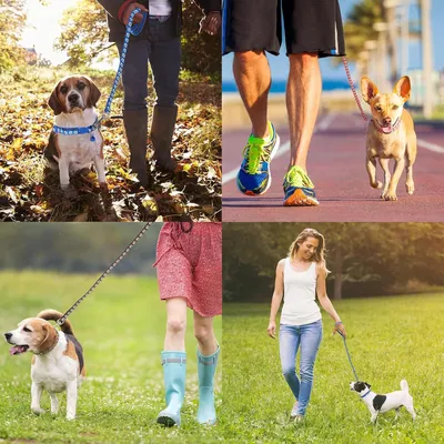 Produktbild von 4er-Set Welpenhalsbänder mit Leine - Verstellbares Hundehalsband und Leine für Welpen - Nylon Haustierhalsband für kleine Hunde und Katzen - Praktisches Hundetraining Zubehör mit Pfotenabdruck-Design.