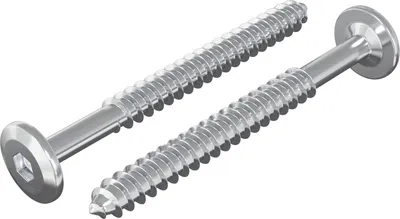 Obrázok produktu pre vidaXL Skrutky do dreva 2 ks Strieborná M6 x 70 mm Oceľ