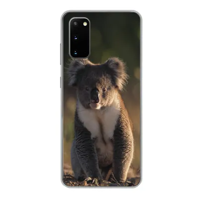 Produktbild von MuchoWow® Handyhülle Schutzhülle Hülle für Samsung Galaxy S20 Koala - Sonne - Tier - Kinder - Jungen - Mädchen Silikon Softcase Handy Hülle - Bild