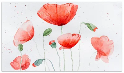 Produktbild von Wallario Herdabdeckplatte aus Glas, Größe 90 x 52 cm 1-teilig, Motiv Mohnblumen in Aquarell