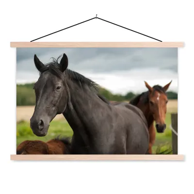 Obrázok produktu pre MuchoWow® Textilný plagát - Kone - Lúka - Švédsko - 60x40cm - S hnedými lamelami