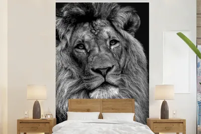 Produktbild von MuchoWow® Fototapete für Wohnzimmer oder Schlafzimmer Wandtapete Vinyl Motivtapete Löwe Nahaufnahme auf schwarzem Hintergrund - schwarz und weiß - 195x300 cm - Das Hintergrundbild