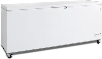 Produktbild von Esta Eiscremetruhe CF 700SL mit Glasdeckel - 646 Liter, Innenbeleuchtung