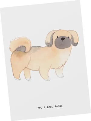 Produktbild von Mr. & Mrs. Panda bildkarte Pekingese Lebensretter - Weiß - Geschenk, Peking-Palasthund, Postkarte, Pekinese, Kunstkarten, kunstkarte, Ansichtskarte, Grußkarte, Postkarten