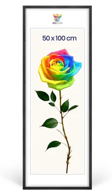 Produktbild von MG Design Bilderrahmen Schwarz 50x100 cm - Posterrahmen Echtholz mit Acrylglas, verstärkte Wandaufhängung, hoch/quer