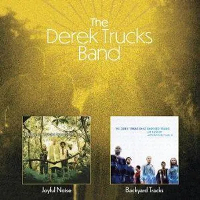 Produktbild von Joyful Noise/Backyard Tracks
