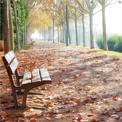 Produktbild von Wallario Outdoor-Poster für Garten oder Balkon, Motiv Einsame Parkbank an einer Allee - Herbststimmung, in ca. 180 x 180 cm