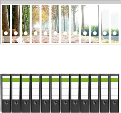 Produktbild von Wallario 12 Stück breite Ordner inkl. Klebeetiketten mit Motive Einsame Parkbank an einer Allee - Herbststimmung -  Set mit Rückenschildern / Ordnerrücken Stickern