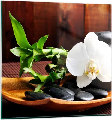 Produktbild von Bilder auf glas - Bambus Schönheit Dekoration Blume - 70x70cm - Glasbilder - Wandbilder - Kunstdruck - zum Aufhängen bereit - Wanddekoration aus Glas - Glas Bilder - Wandbild auf Glas - GAC70x70-2166