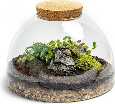 Obrázok produktu pre Gardners Sklenená nádoba AURINIA s korkovou zátkou, 31x20 cm - vysadená s vlhkosťou