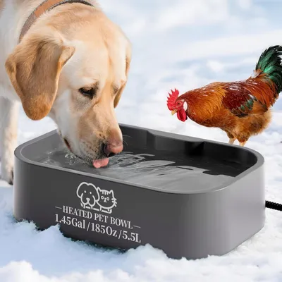 Produktbild von Erwärmte Trinkschale – 5,5 Liter – Für Hunde im Freien – Grau