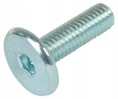 Image de Global Service Vis métrique M6 x 20 mm tête cylindrique zingué blanc