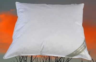 Produktbild von BENELUX Kissen Kopfkissen Daunenkissen 60x70 cm 100% Daunen flauschig weich 700 g prall