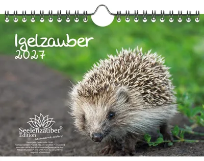 Produktbild von Igelzauber DIN A5 Kalender für 2027 Igel - Seelenzauber