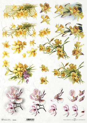 Immagine prodotto di Carta di riso per decoupage A3 ITD-1060L Fiori di primavera