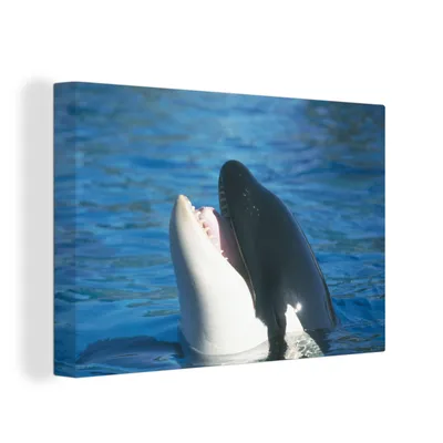 Obrázek produktu pro OneMillionCanvasses® Malba na plátně Nástěnná malba na plátně - Kosatky na vodní hladině - 150x100cm