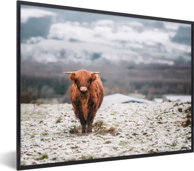 Produktbild von MuchoWow® Gerahmtes Poster Schottischer Highlander - Schnee - Berg 80x60 cm - Poster mit Schwarzem Bilderrahmen Wandposter Rahmen Foto Bilder - Schwarzem - Mit Gestell