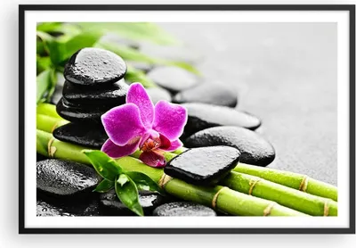 Produktbild von Gerahmtes Poster - Schwarzer Rahmen - Pflanze Steine Bambus Spa - 91,5x61 cm - Wand Bild - Wanddeko - Wandbilder - Wandposter - Bilderrahmen - Bilder - Kunstdruck - Wandbild - P2BAA91x61-2681