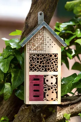 Productafbeelding van Insectenhotel 26 cm, hout, vlinderhuis, voor tuin