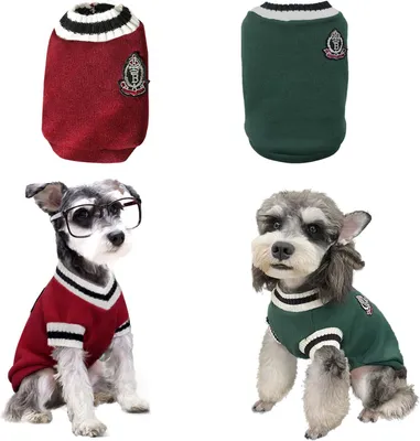 Produktbild von Hundemantel – Set aus 2 Stück – Polyester – Gefüttert