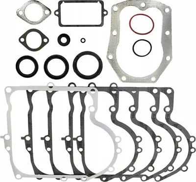 Zdjęcie produktu dla Zestaw uszczelek silnika do modeli Briggs & Stratton B&S 10-13hp 28cc 494241 490525