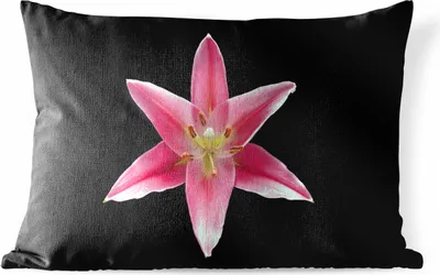 Produktbild von MuchoWow® Outdoor Kissen - Blumen - Lilie - Rosa - 60x40 cm - Wetterfest - Lounge Kissen - Zierkissen - Kissen für Innenräume