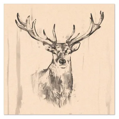 Produktbild von PAPSTAR Motiv-Servietten "Deer" 330 x 330 mm natur 20 Stück