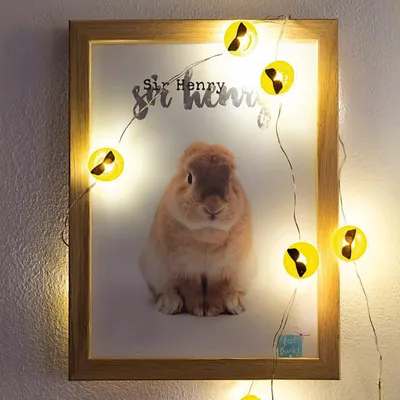 Productafbeelding van Hellum 522952, Verlichte decoratieve lichtketting, Zwart, Zilver, Geel, 10 lampen, LED, Warm wit licht, Werkt op batterijen