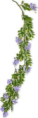 Produktbild von Fliederfarbene Glyzinien-Girlande, 225 cm lang