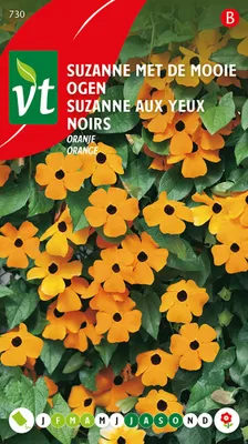 Produktbild von Suzanne Aux Yeux Noirs Samen - Ca. 0,75 gr | VT_730