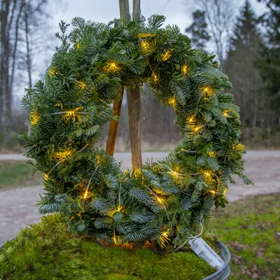 Produktbild von Lichterkette Dew Drop Micro für außen mit 96 LEDs, L 720cm