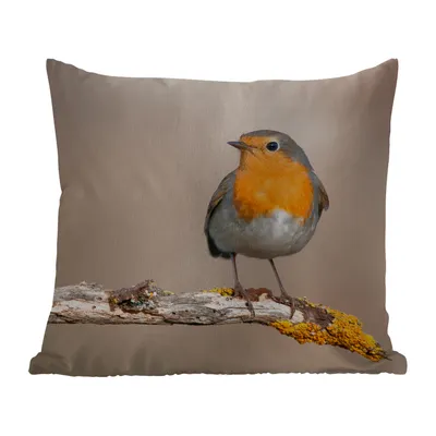 Obrázek produktu pro MuchoWow® Vnější polštář - Robin - Pták - Větev - Zvířata -40x40 cm- Odolnost proti povětrnostním vlivům - polštář do obývacího pokoje