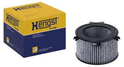 Productafbeelding van Paardenfilter, filter voor de binnenlucht, model E922Lc