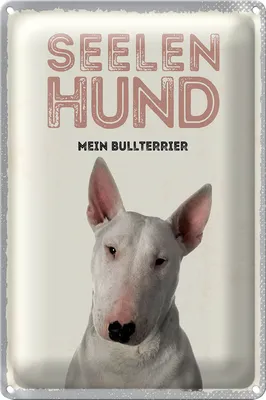 Produktbild von Blechschild 18x12cm Seelen Hund mein Bullterrier