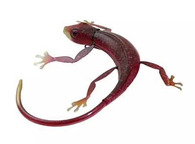 Produktbild von Wanddeko Gecko Deko Tier Figur Lurch Metall Wandbild Echse Drachen Skulptur