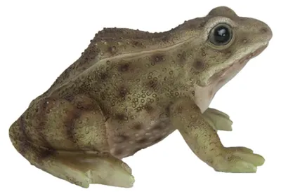 Produktbild von Froschfigur - Stein moosgrun - 8 cm - sitzend - Gartendekoration