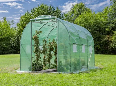 Produktbild von Foliengewächshaus, Tomatengewächshaus mit 6 Fenster ca. 300x200x200 cm