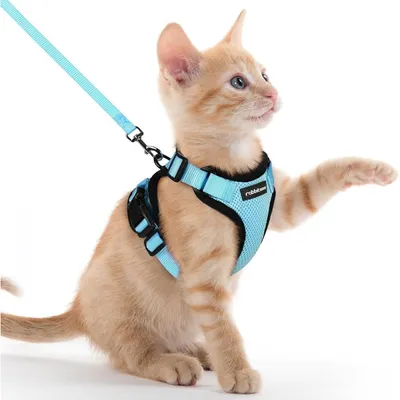 Productafbeelding van Kattenhalsband met lijntje, ontsnappingswerend, verstelbaar, ademend, lichtblauw, maat XXS