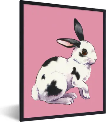 Produktbild von MuchoWow® Gerahmtes Poster Kaninchen mit rosa Hintergrund 60x80 cm - Poster mit Schwarzem Bilderrahmen Wandposter Rahmen Foto Bilder - Premium - Wanddeko Wohnzimmer